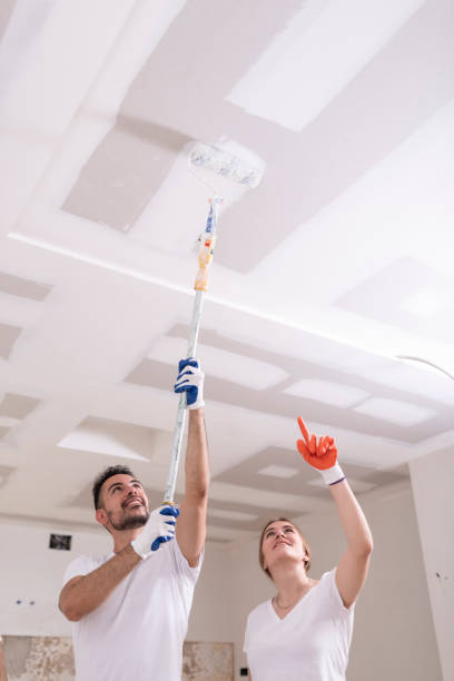 Mold Odor Removal Services in Stockton, CA